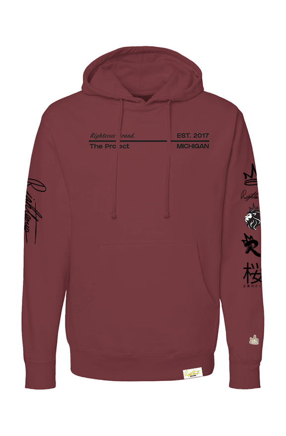 THE PROJECT V2 HOODIE