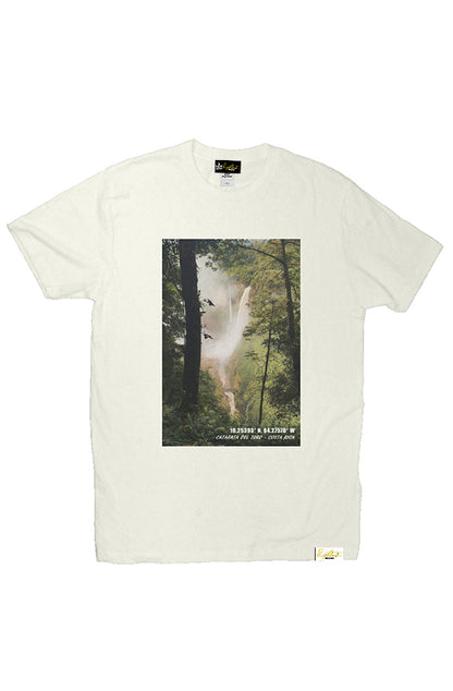 RAINFOREST FALLS TEE