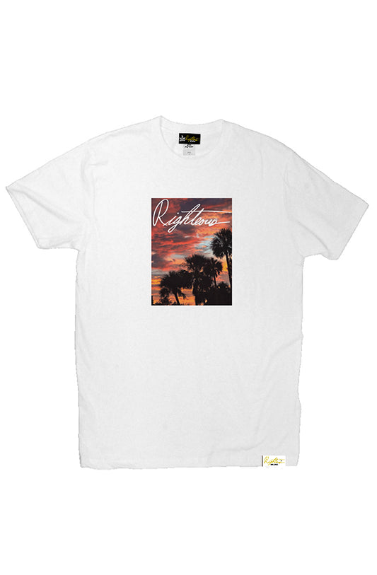 PALMS SIGNATURE TEE