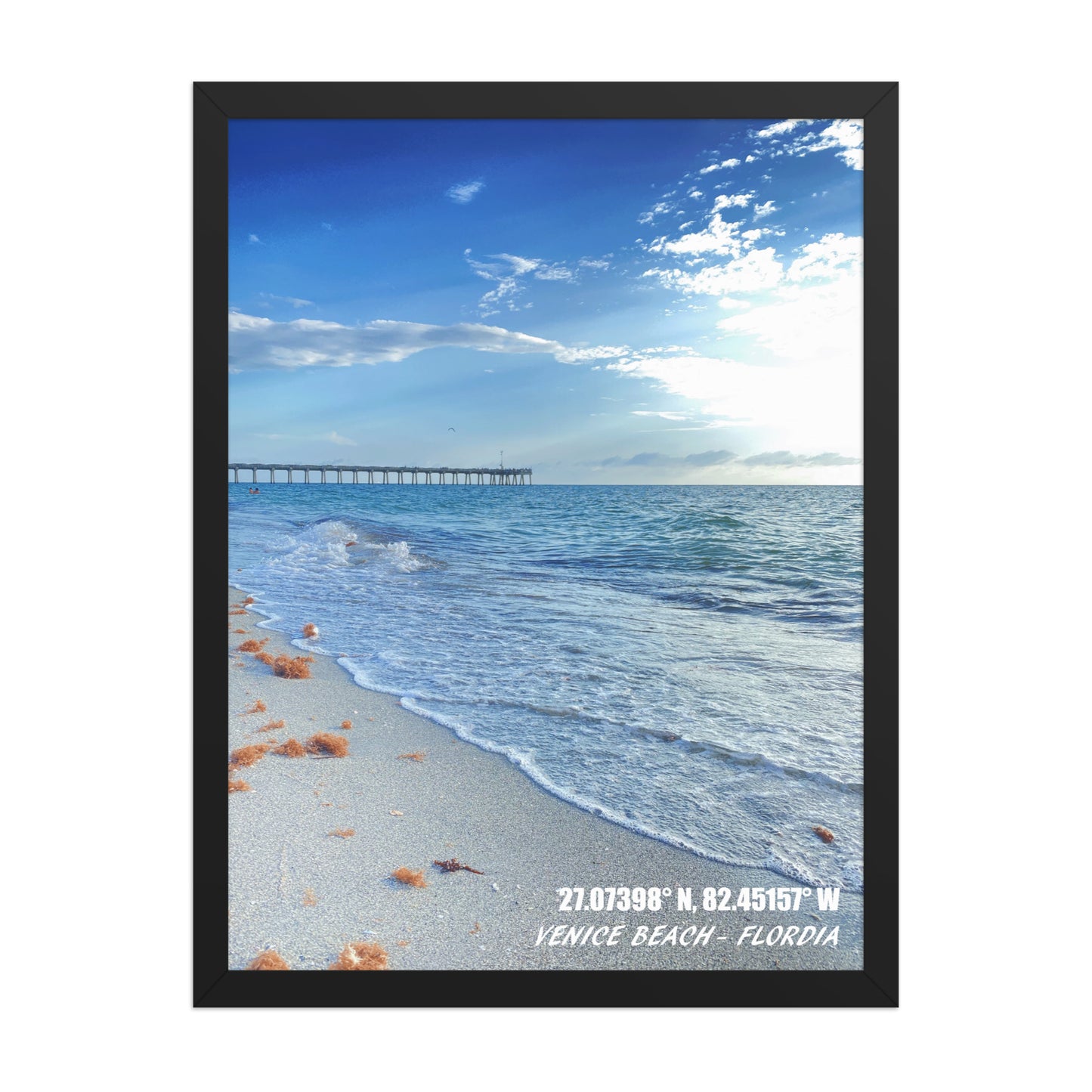 VENICE BEACH FRAMED POSTER