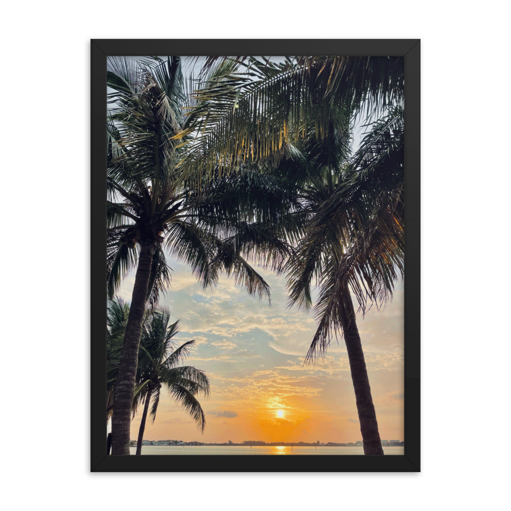 PALMS FRAMED POSTER