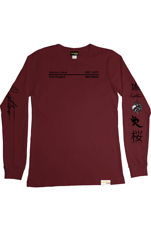 THE PROJECT V2 L/S TEE